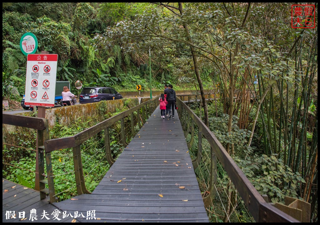 日月潭水蛙頭步道|九蛙疊像現身．難得一見快把握機會來拍照 @假日農夫愛趴趴照