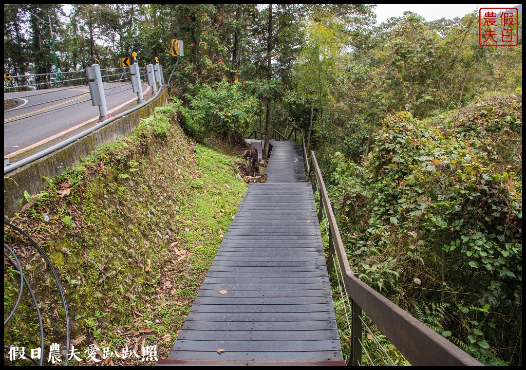 日月潭水蛙頭步道|九蛙疊像現身．難得一見快把握機會來拍照 @假日農夫愛趴趴照