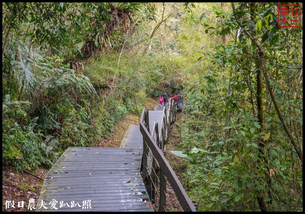 日月潭水蛙頭步道|九蛙疊像現身．難得一見快把握機會來拍照 @假日農夫愛趴趴照