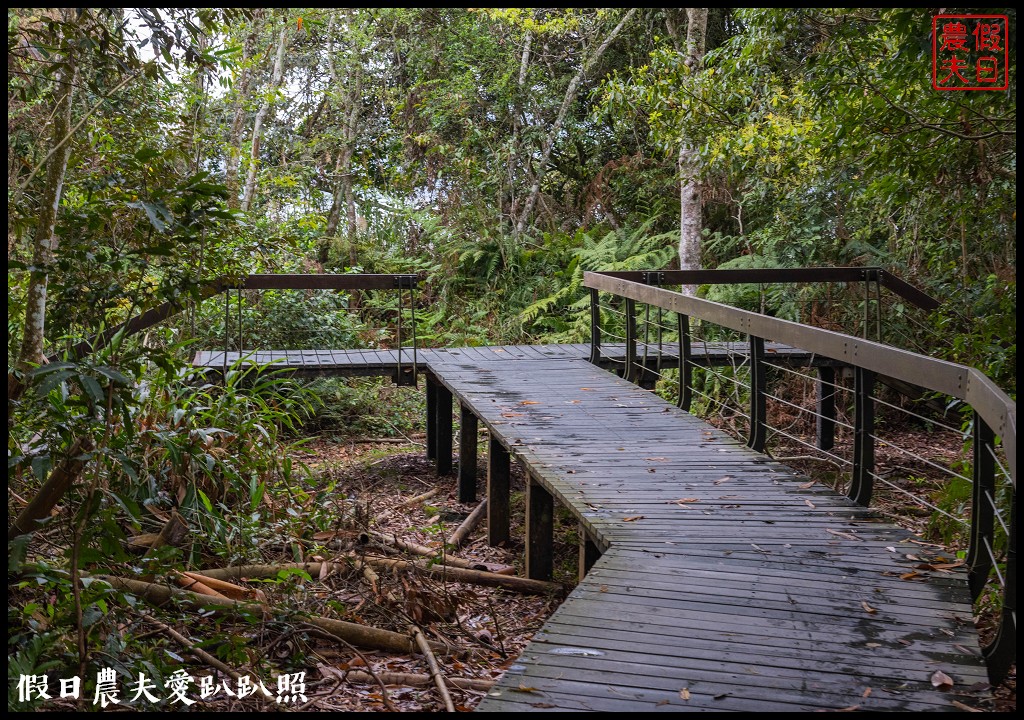 日月潭水蛙頭步道|九蛙疊像現身．難得一見快把握機會來拍照 @假日農夫愛趴趴照