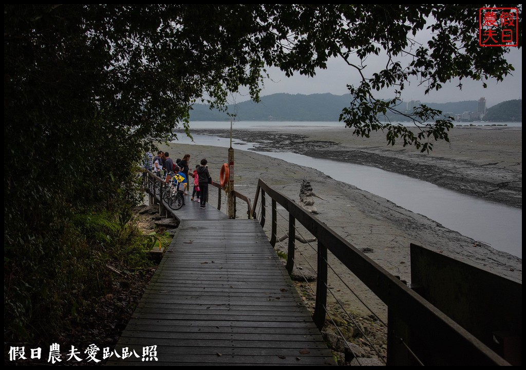 日月潭水蛙頭步道|九蛙疊像現身．難得一見快把握機會來拍照 @假日農夫愛趴趴照