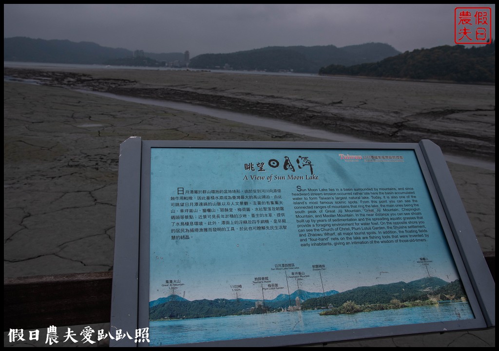 日月潭水蛙頭步道|九蛙疊像現身．難得一見快把握機會來拍照 @假日農夫愛趴趴照