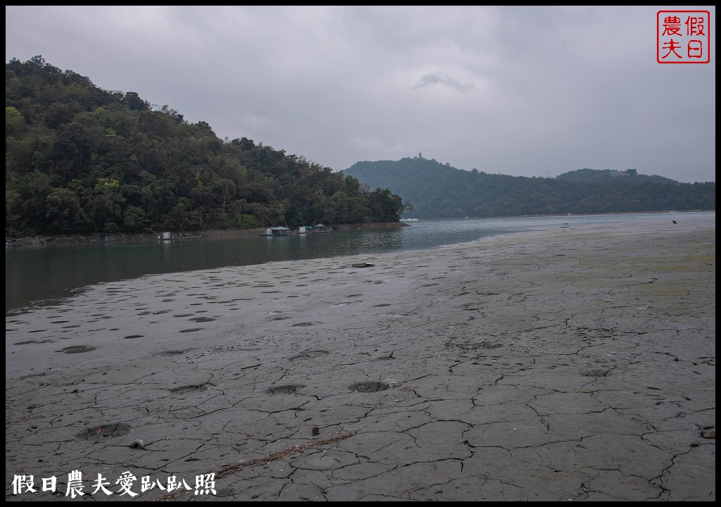 日月潭水蛙頭步道|九蛙疊像現身．難得一見快把握機會來拍照 @假日農夫愛趴趴照