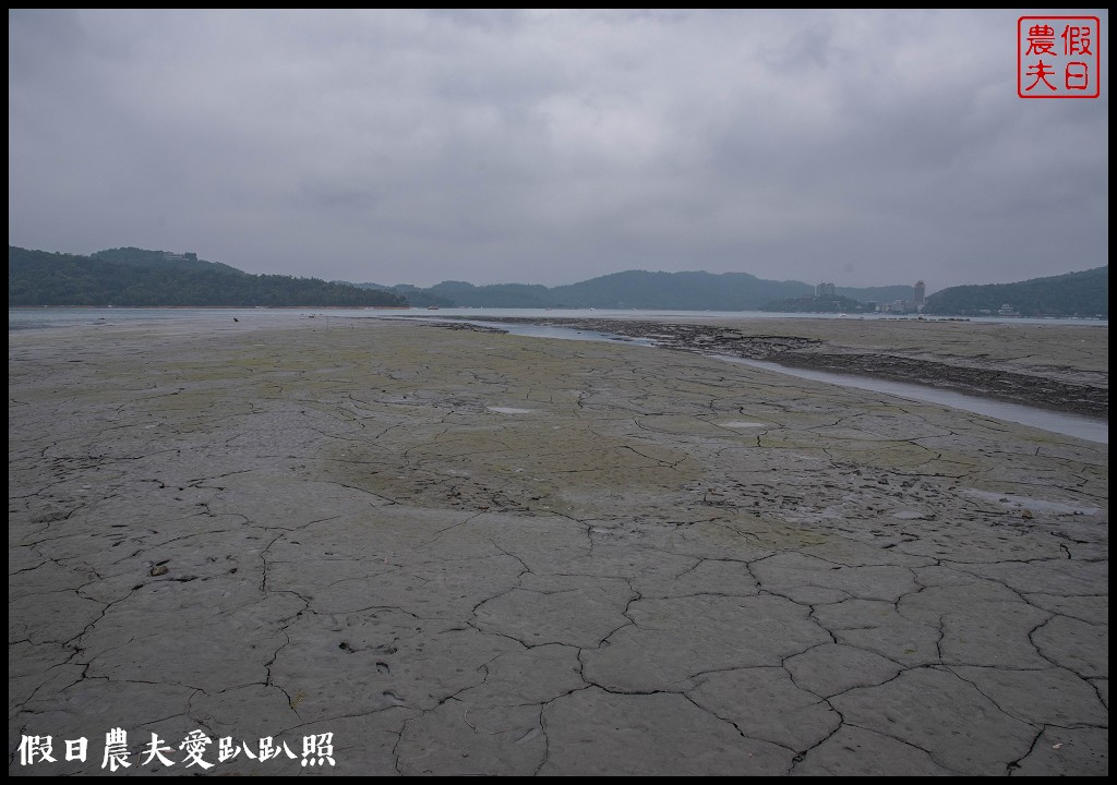 日月潭水蛙頭步道|九蛙疊像現身．難得一見快把握機會來拍照 @假日農夫愛趴趴照