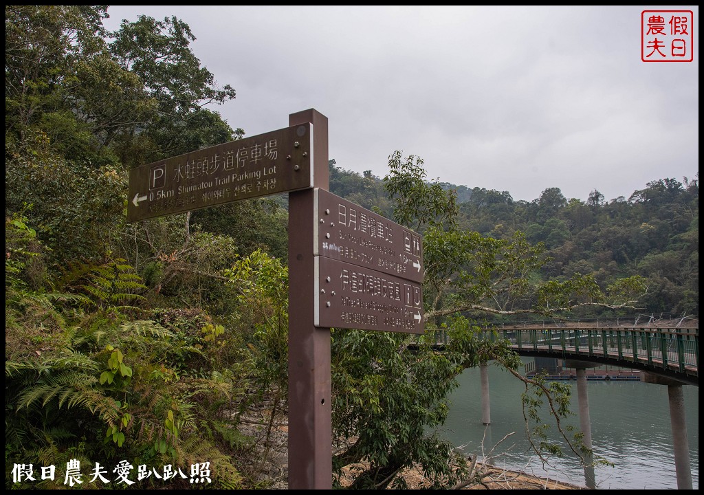 日月潭水蛙頭步道|九蛙疊像現身．難得一見快把握機會來拍照 @假日農夫愛趴趴照