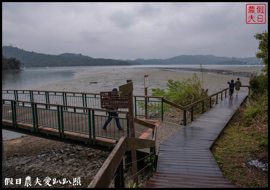 日月潭水蛙頭步道|九蛙疊像現身．難得一見快把握機會來拍照 @假日農夫愛趴趴照