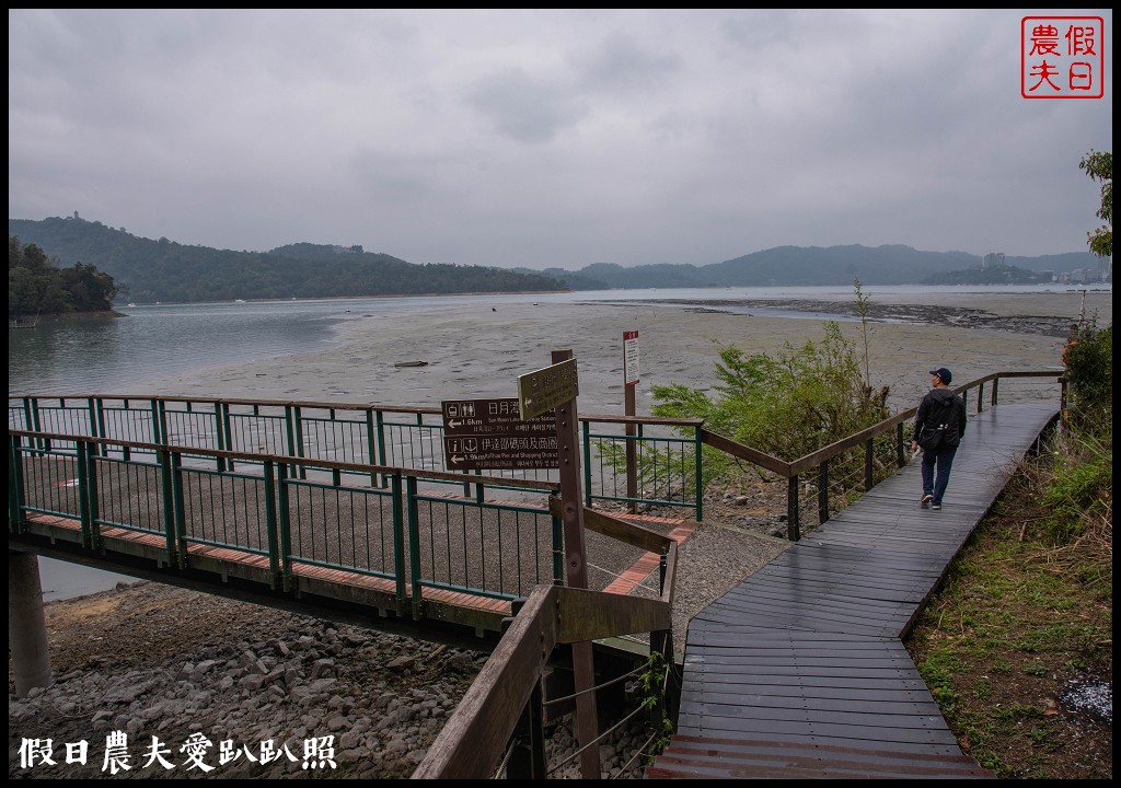 日月潭水蛙頭步道|九蛙疊像現身．難得一見快把握機會來拍照 @假日農夫愛趴趴照