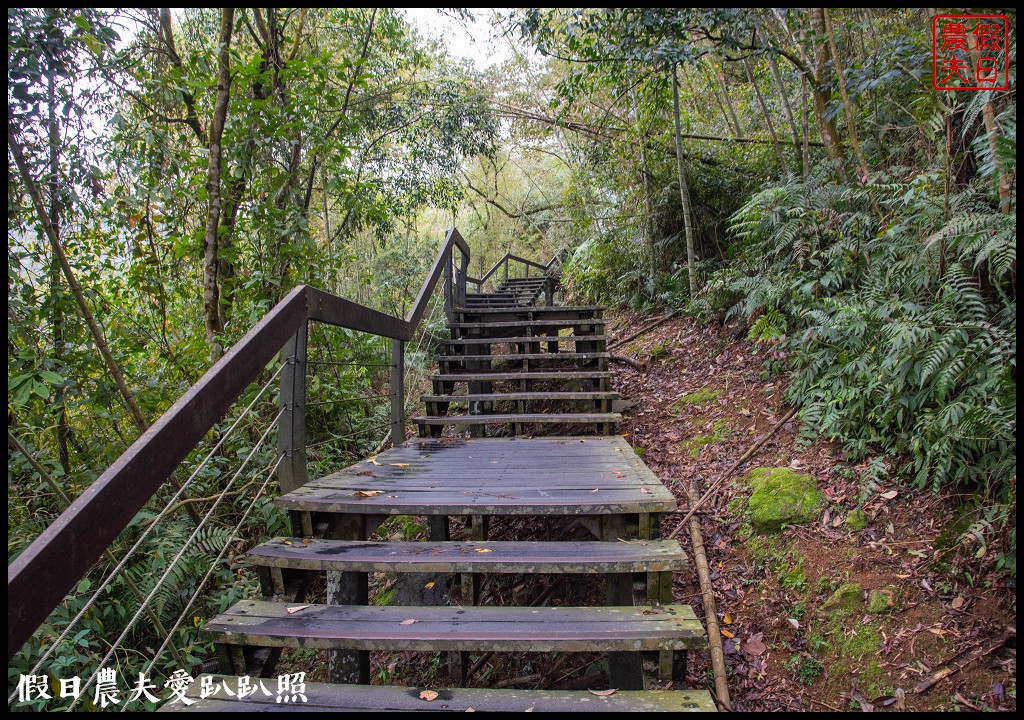 日月潭水蛙頭步道|九蛙疊像現身．難得一見快把握機會來拍照 @假日農夫愛趴趴照