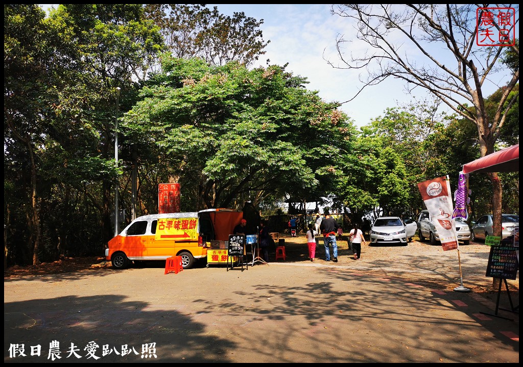 八卦山遊桐趣|員林藤山步道．邊運動健行邊賞桐花 @假日農夫愛趴趴照