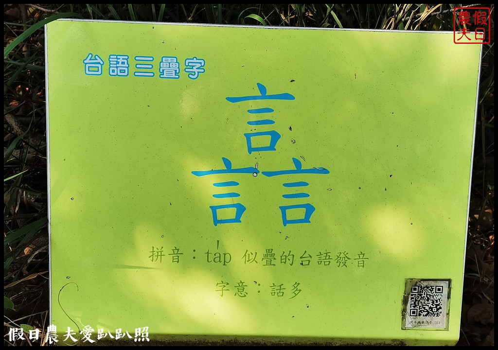 八卦山遊桐趣|員林藤山步道．邊運動健行邊賞桐花 @假日農夫愛趴趴照