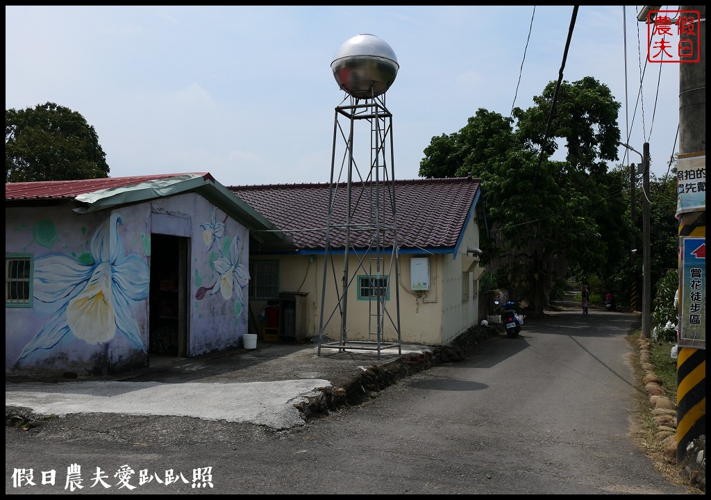 白河石斛蘭瀑布開花了|近洪氏溪洲部落赤中寺|交通指引 @假日農夫愛趴趴照