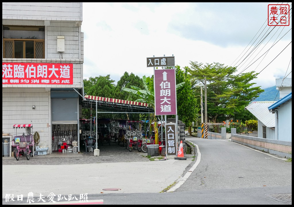 騎腳踏車悠遊伯朗大道/天堂路/金城武樹/蔡依林樹/鐵馬驛站 @假日農夫愛趴趴照