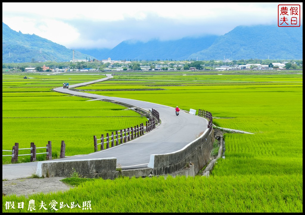 騎腳踏車悠遊伯朗大道/天堂路/金城武樹/蔡依林樹/鐵馬驛站 @假日農夫愛趴趴照