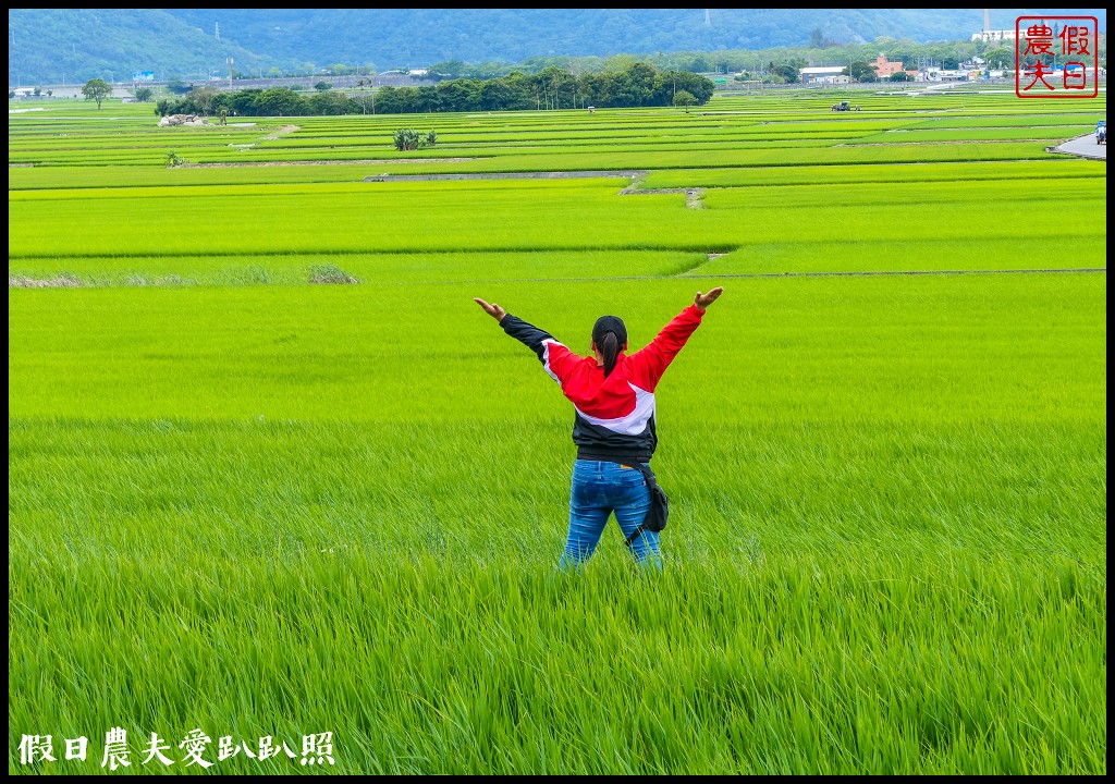 騎腳踏車悠遊伯朗大道/天堂路/金城武樹/蔡依林樹/鐵馬驛站 @假日農夫愛趴趴照