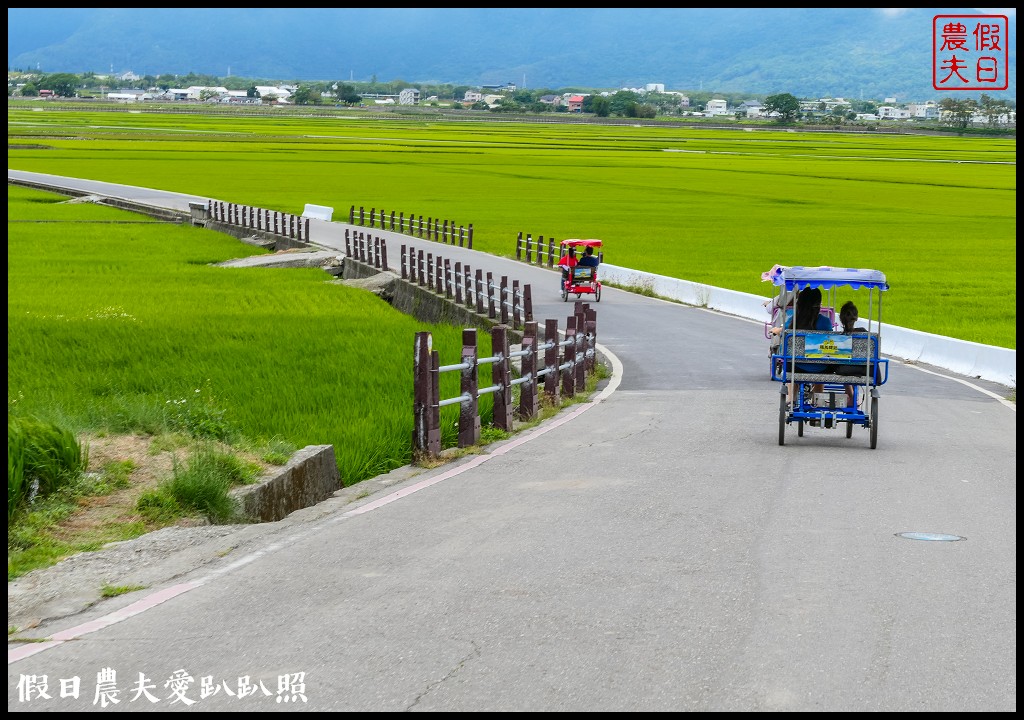 騎腳踏車悠遊伯朗大道/天堂路/金城武樹/蔡依林樹/鐵馬驛站 @假日農夫愛趴趴照