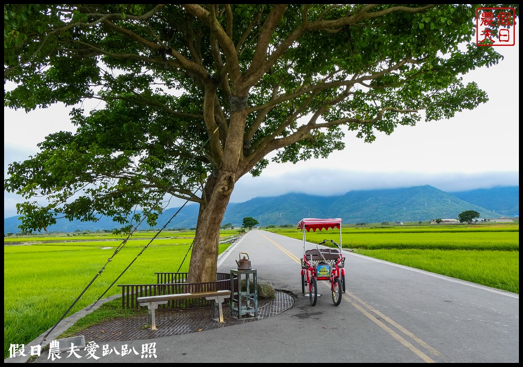 騎腳踏車悠遊伯朗大道/天堂路/金城武樹/蔡依林樹/鐵馬驛站 @假日農夫愛趴趴照