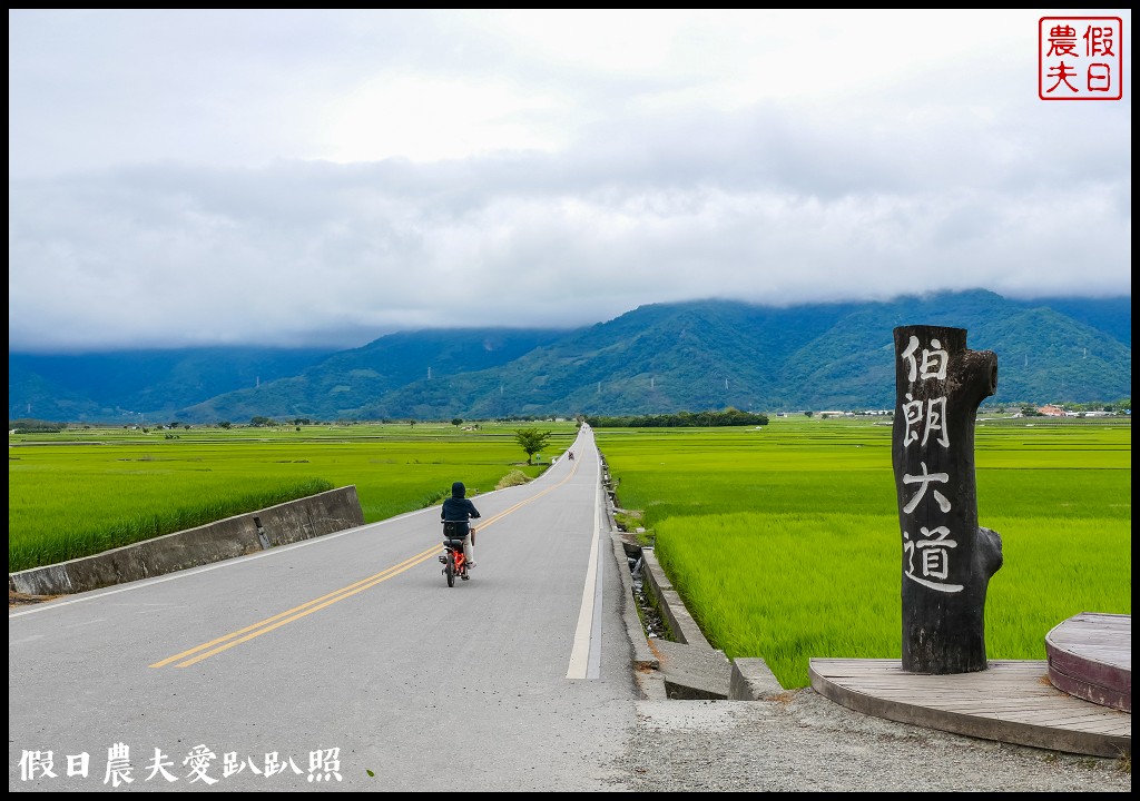 騎腳踏車悠遊伯朗大道/天堂路/金城武樹/蔡依林樹/鐵馬驛站 @假日農夫愛趴趴照