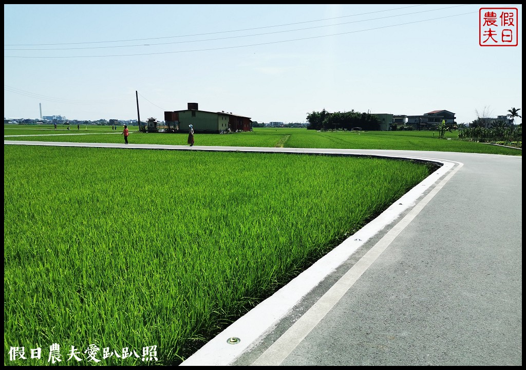 宜蘭彩繪稻田．想拍風箏熱氣球彩繪還是虎鯨稻海 @假日農夫愛趴趴照