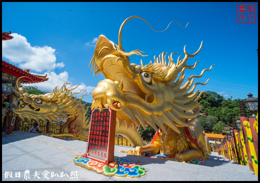 新地標❗️中寮金龍山法華寺雙龍朝聖鳳迎賓|亞洲最長最大的金龍階梯 @假日農夫愛趴趴照