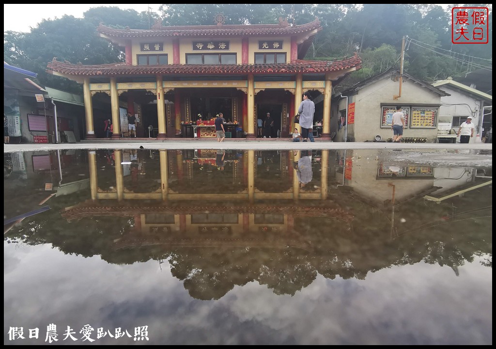 新地標❗️中寮金龍山法華寺雙龍朝聖鳳迎賓|亞洲最長最大的金龍階梯 @假日農夫愛趴趴照