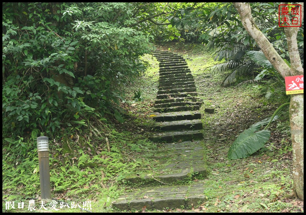 超夢幻歐式庭園免費參觀❗️宜蘭仁山植物園 @假日農夫愛趴趴照