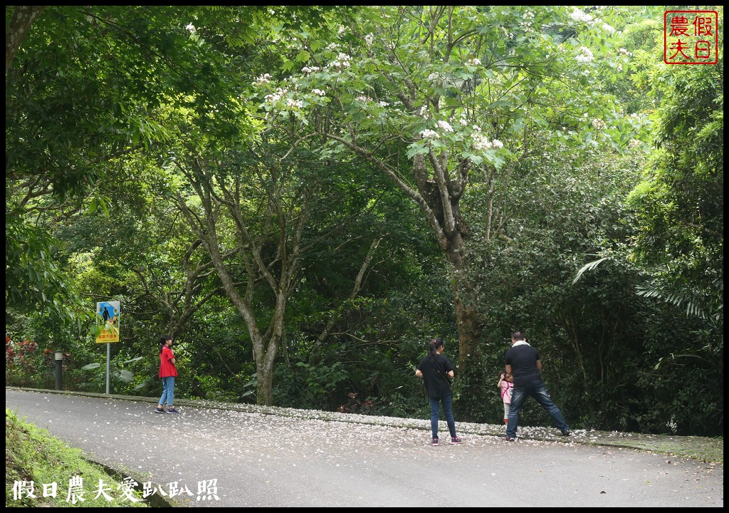 超夢幻歐式庭園免費參觀❗️宜蘭仁山植物園 @假日農夫愛趴趴照