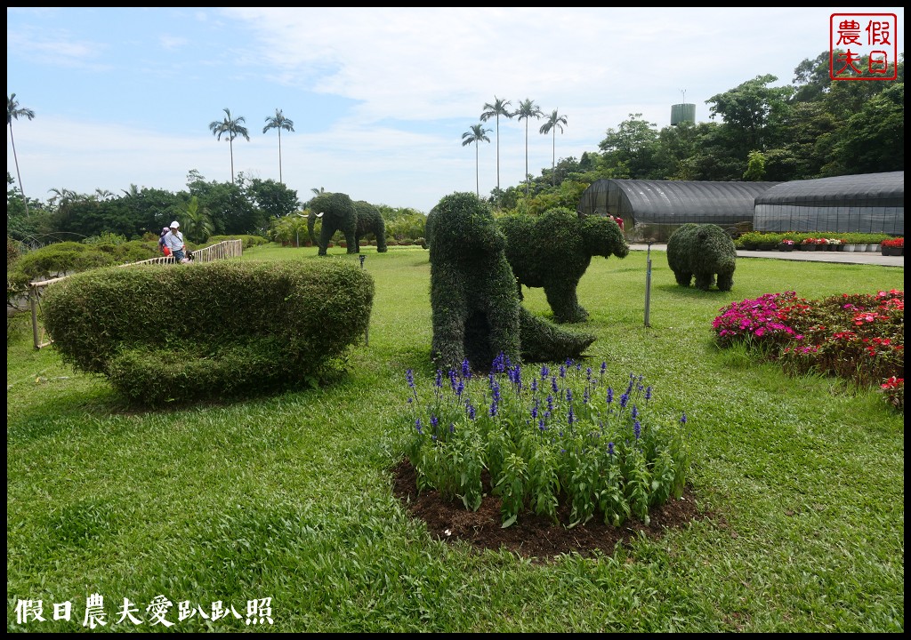 超夢幻歐式庭園免費參觀❗️宜蘭仁山植物園 @假日農夫愛趴趴照