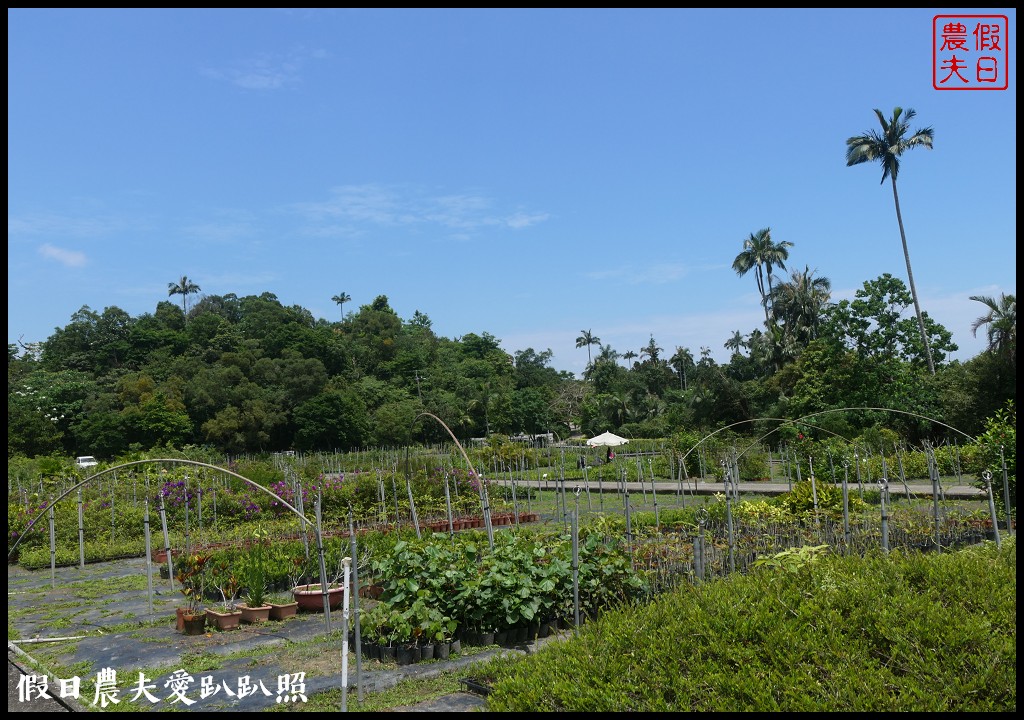 超夢幻歐式庭園免費參觀❗️宜蘭仁山植物園 @假日農夫愛趴趴照