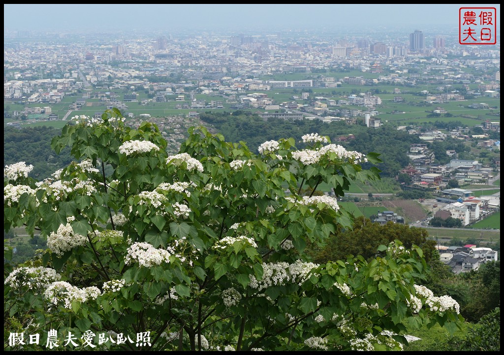 超夢幻歐式庭園免費參觀❗️宜蘭仁山植物園 @假日農夫愛趴趴照