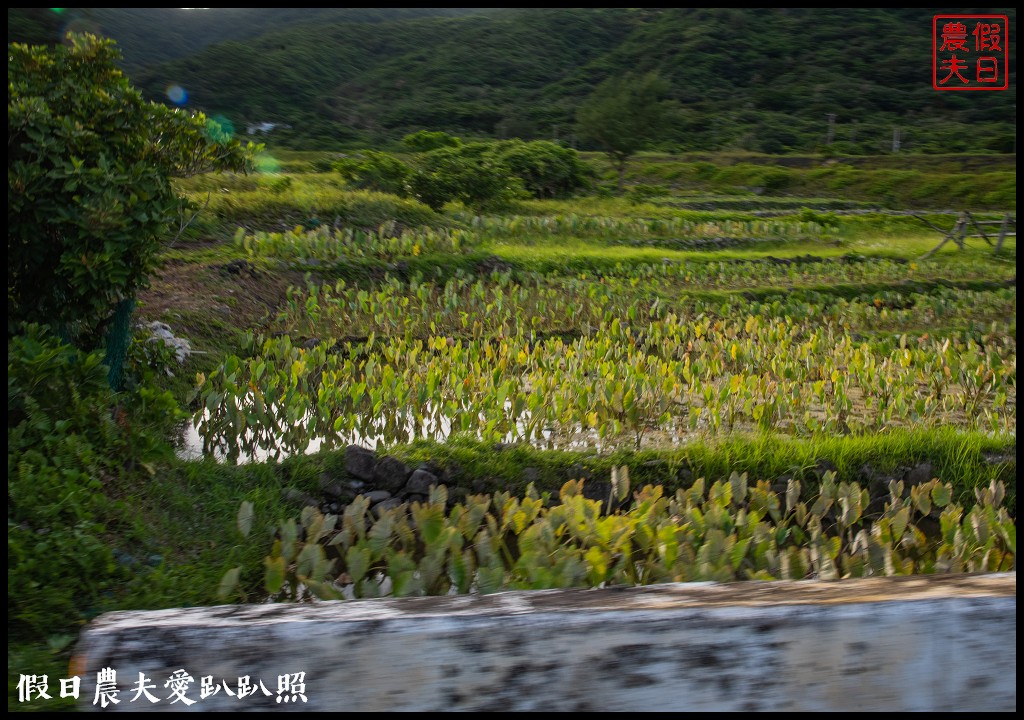 蘭嶼旅遊懶人包|船票住宿景點美食一次告訴你 @假日農夫愛趴趴照