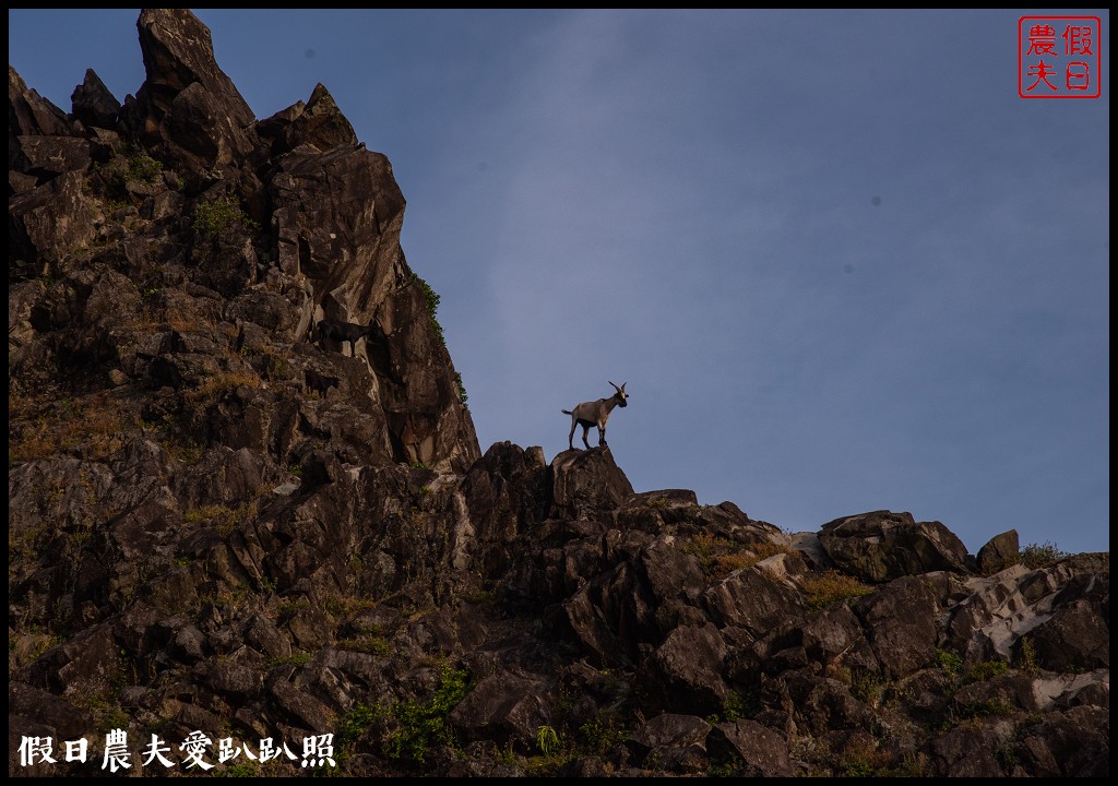 蘭嶼旅遊懶人包|船票住宿景點美食一次告訴你 @假日農夫愛趴趴照