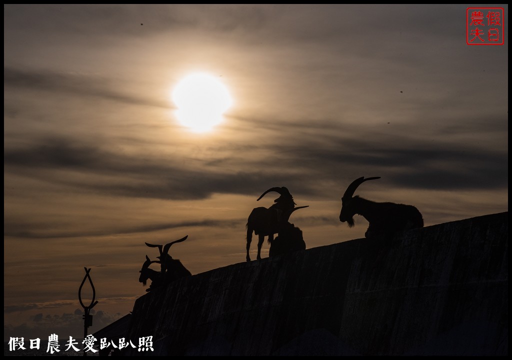 蘭嶼旅遊懶人包|船票住宿景點美食一次告訴你 @假日農夫愛趴趴照