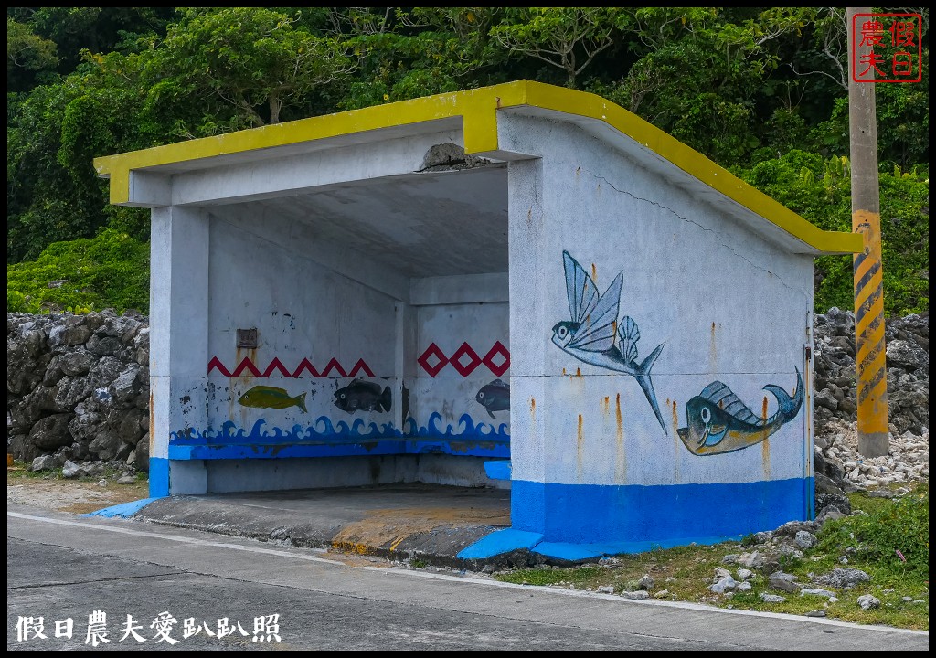 蘭嶼旅遊懶人包|船票住宿景點美食一次告訴你 @假日農夫愛趴趴照