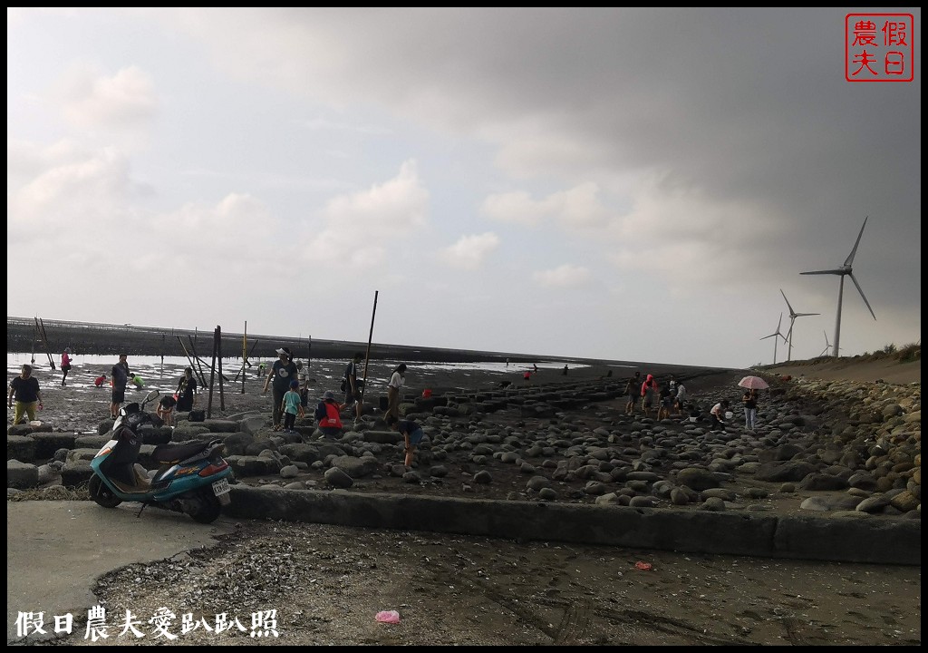 王功漁港|觀光採蚵車生態探索之旅/王功漁火節 @假日農夫愛趴趴照