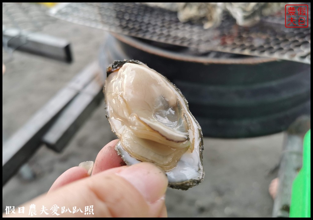 王功漁港|觀光採蚵車生態探索之旅/王功漁火節 @假日農夫愛趴趴照