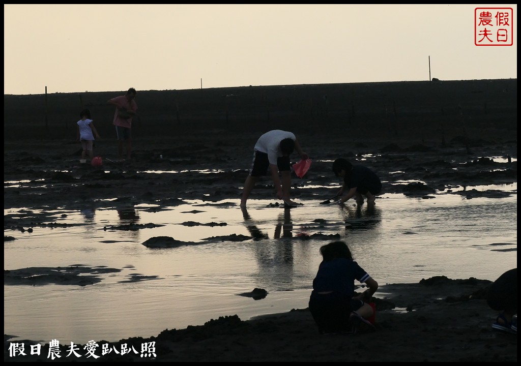 王功漁港|觀光採蚵車生態探索之旅/王功漁火節 @假日農夫愛趴趴照