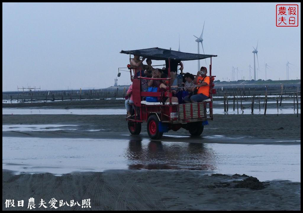 王功漁港|觀光採蚵車生態探索之旅/王功漁火節 @假日農夫愛趴趴照