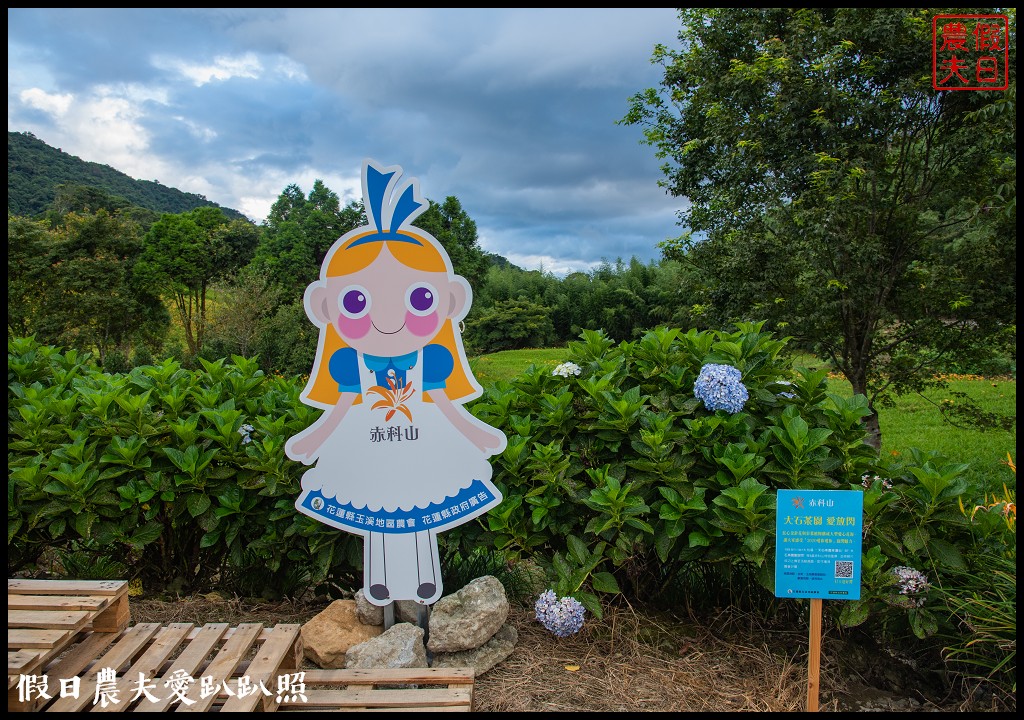 赤柯山金針花五大必拍景點一篇告訴你|小瑞士農場\林家園\千噸神龜\三巨石\汪家古厝 @假日農夫愛趴趴照