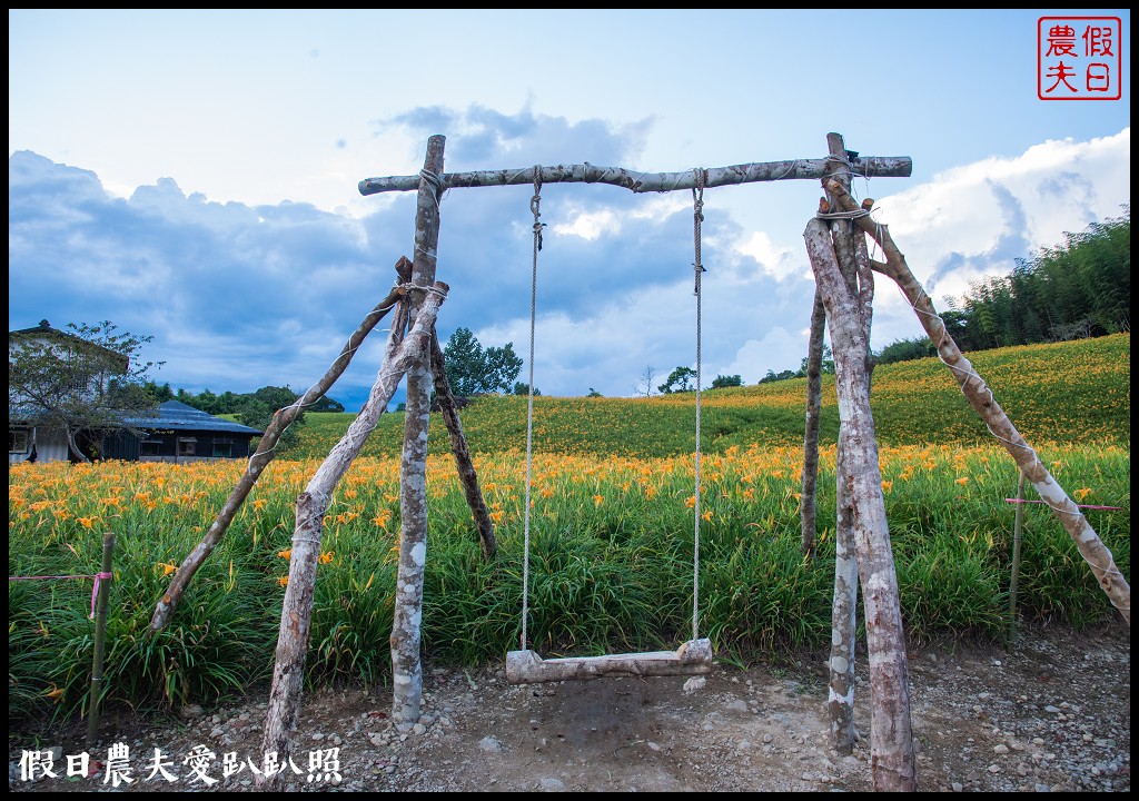 赤柯山金針花五大必拍景點一篇告訴你|小瑞士農場\林家園\千噸神龜\三巨石\汪家古厝 @假日農夫愛趴趴照