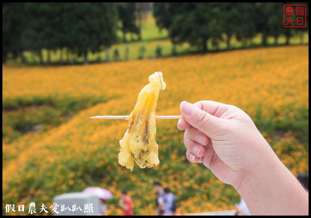 赤柯山金針花五大必拍景點一篇告訴你|小瑞士農場\林家園\千噸神龜\三巨石\汪家古厝 @假日農夫愛趴趴照