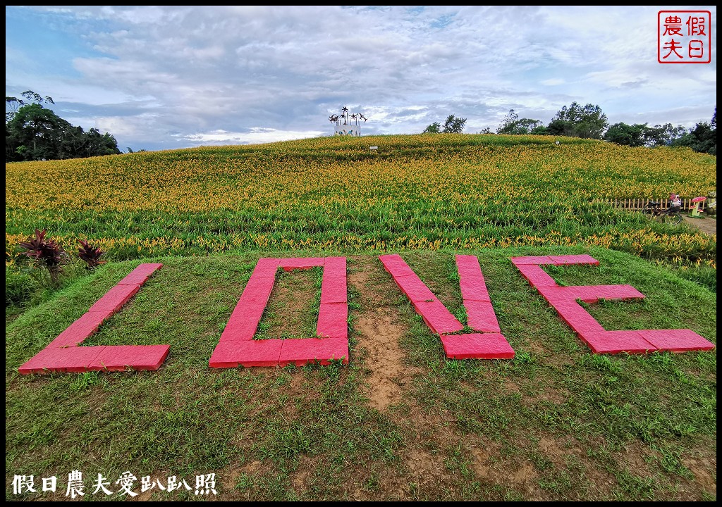 赤柯山金針花五大必拍景點一篇告訴你|小瑞士農場\林家園\千噸神龜\三巨石\汪家古厝 @假日農夫愛趴趴照