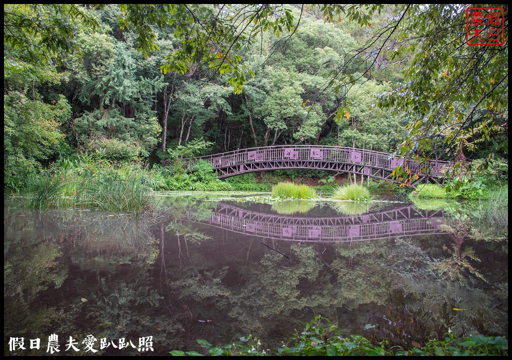 森林巴士天天出發|來去奧萬大住一晚！追瀑森呼吸 @假日農夫愛趴趴照