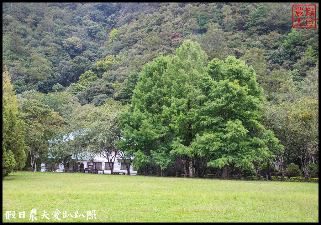 森林巴士天天出發|來去奧萬大住一晚！追瀑森呼吸 @假日農夫愛趴趴照