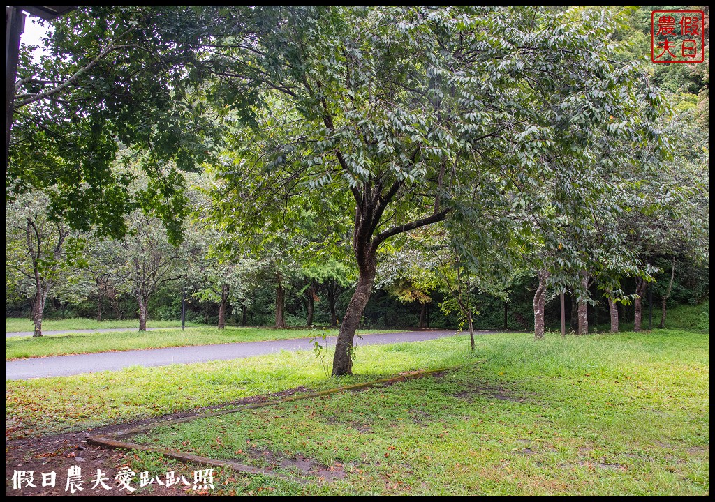 森林巴士天天出發|來去奧萬大住一晚！追瀑森呼吸 @假日農夫愛趴趴照