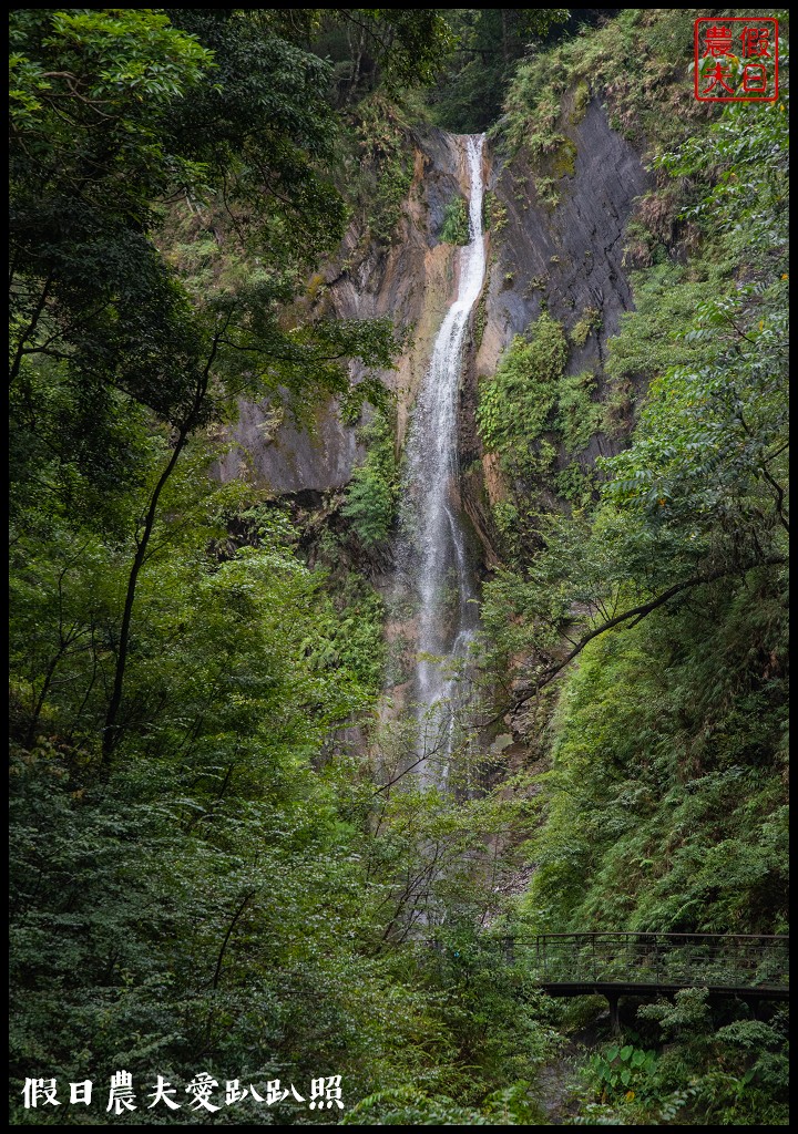 森林巴士天天出發|來去奧萬大住一晚！追瀑森呼吸 @假日農夫愛趴趴照