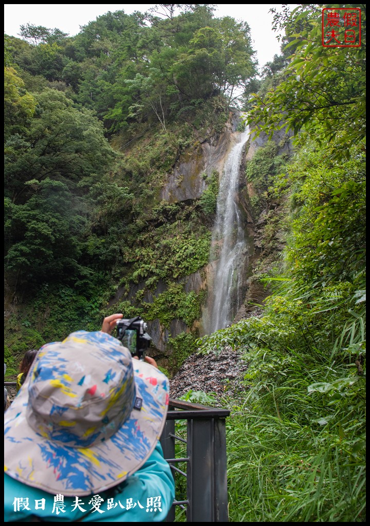 森林巴士天天出發|來去奧萬大住一晚！追瀑森呼吸 @假日農夫愛趴趴照