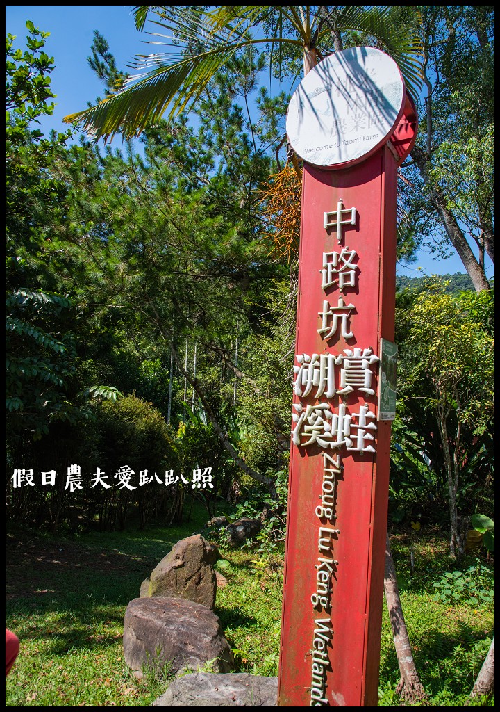 南投休閒農業區|四季農遊微旅行．親子旅遊首選 @假日農夫愛趴趴照