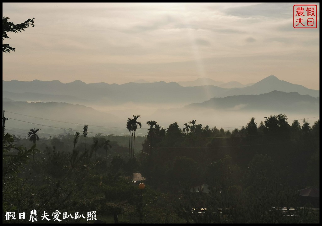 南投休閒農業區|四季農遊微旅行．親子旅遊首選 @假日農夫愛趴趴照