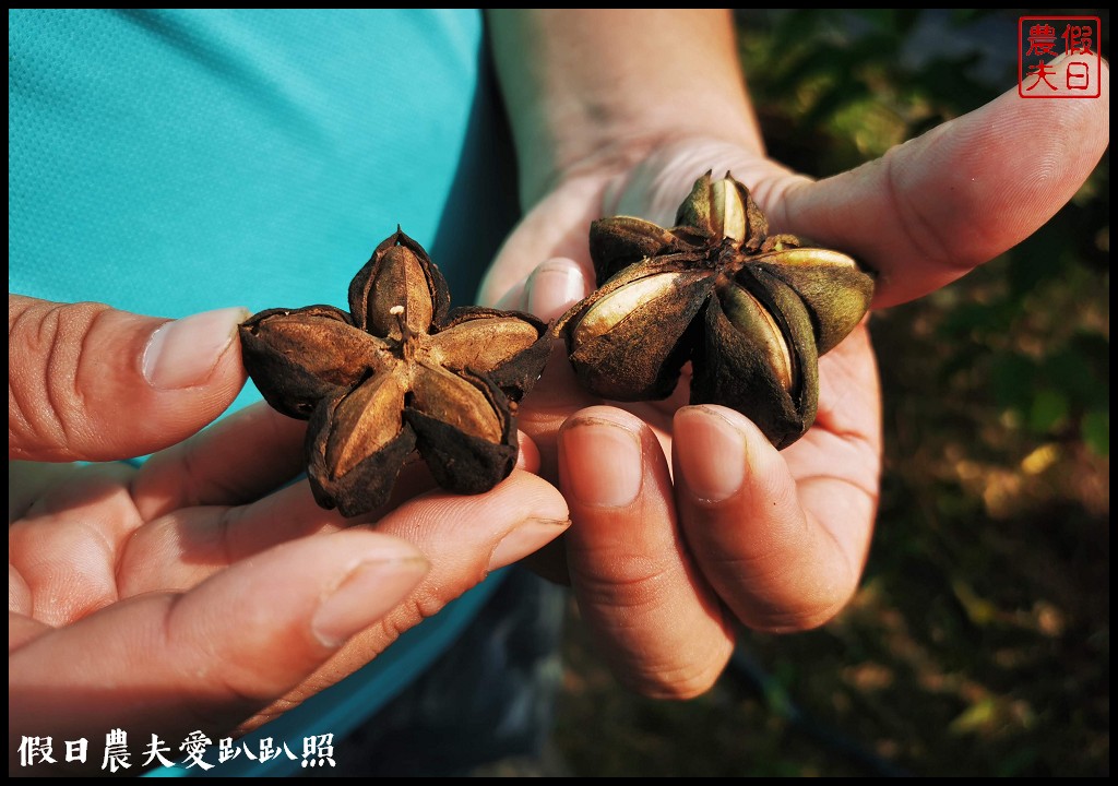 南投休閒農業區|四季農遊微旅行．親子旅遊首選 @假日農夫愛趴趴照