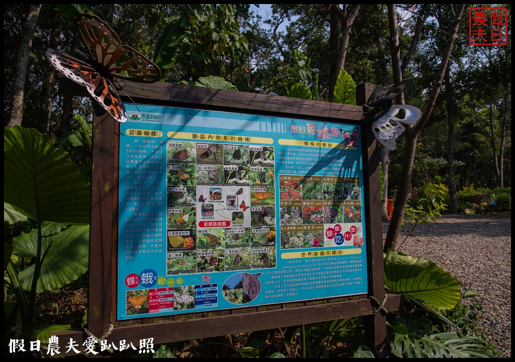 日賞桐夜賞螢就在三義西湖渡假村|超值住宿門票優惠 @假日農夫愛趴趴照